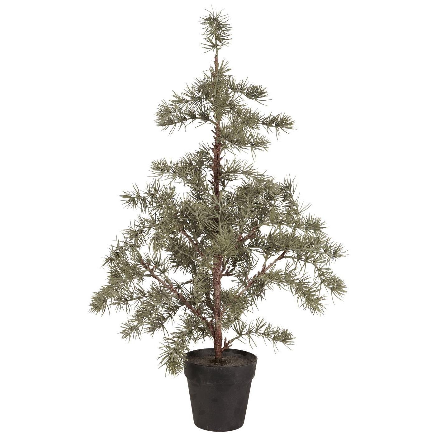 IB Laursen Weihnachtsbaum ZEDER mit Plastiktopf mittel | Ø 35 H80cm - Sir Henrys