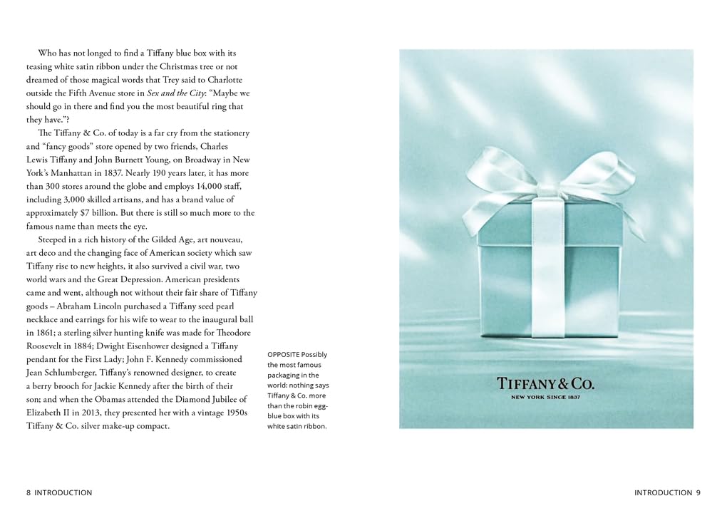 New Mags Buch LITTLE BOOK OF TIFFANY & CO. | 13x1,8x18,5cm