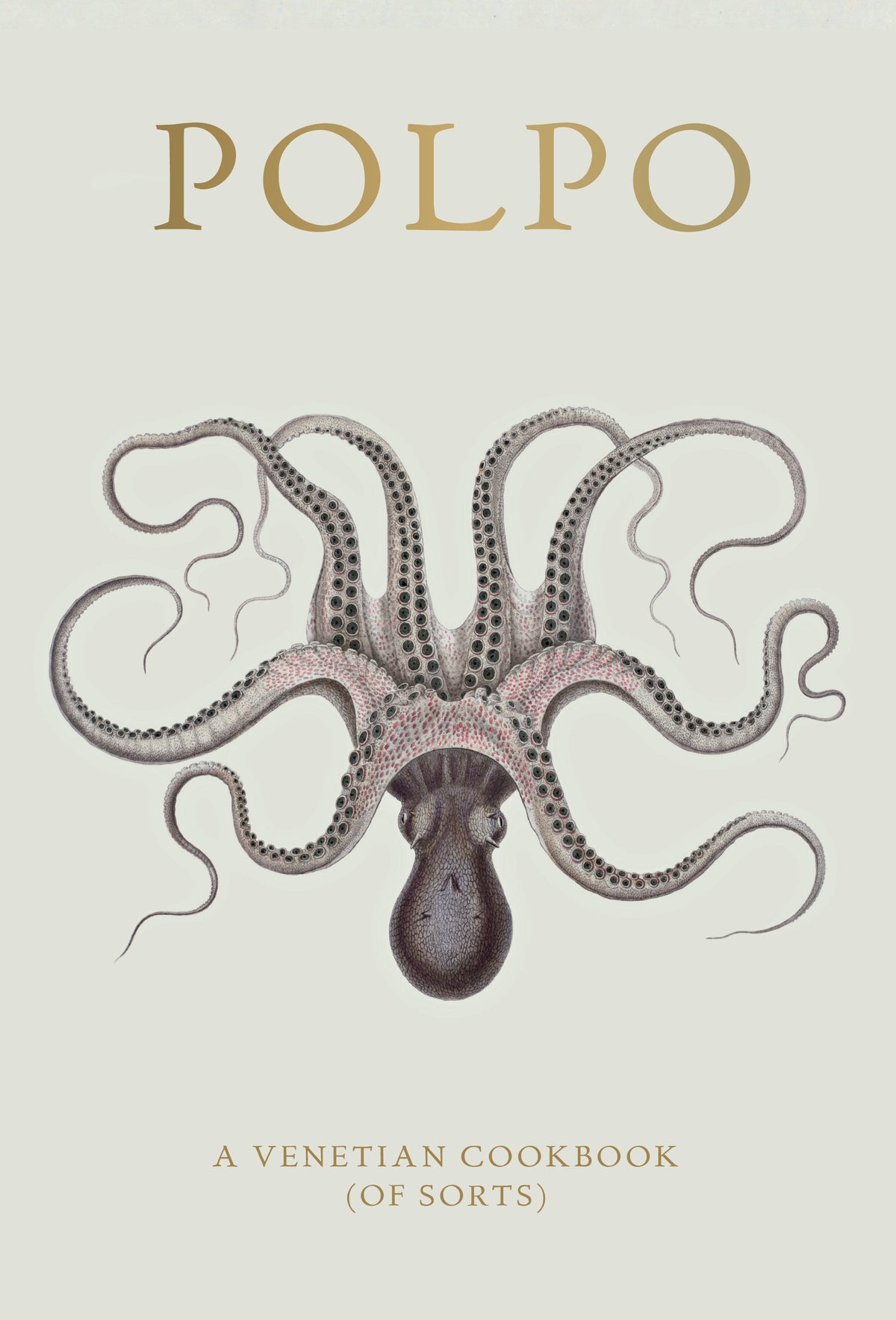 New Mags Buch POLPO | 18x3,4x26,5cm