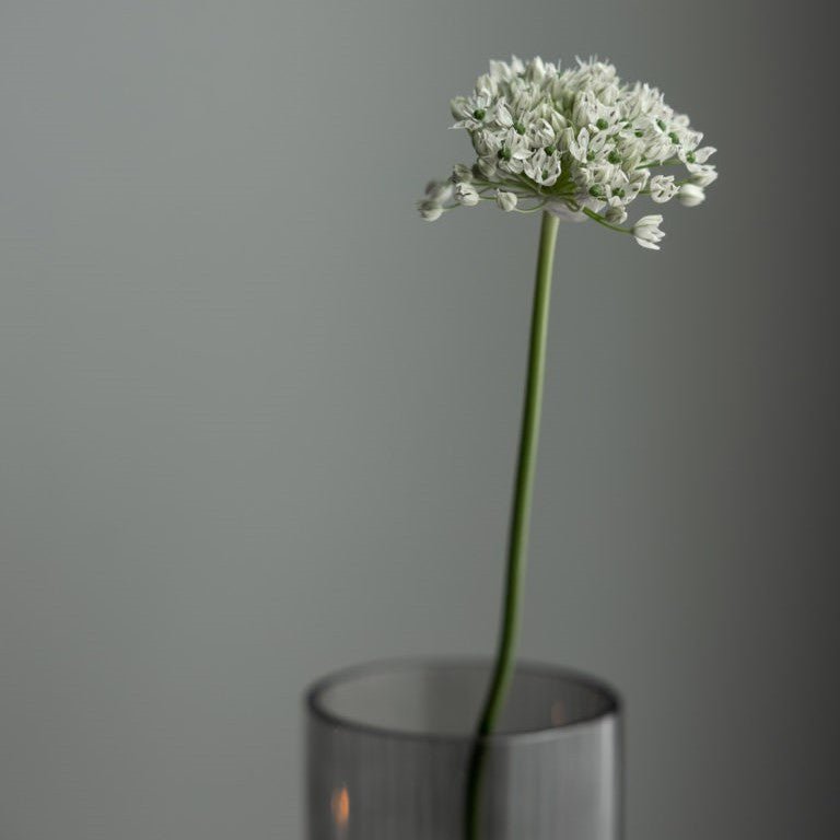 Storefactory Vase / Windlicht RAMSJÖ MEDIUM grau | Ø 12x35 cm - Sir Henrys