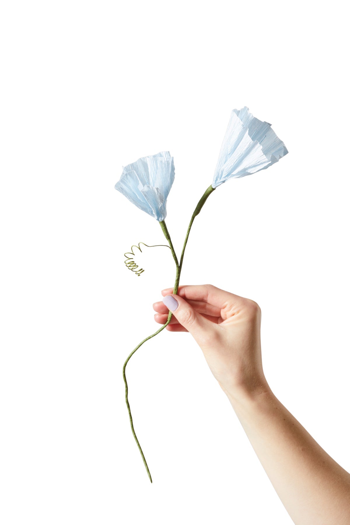 Studio About Papierblume MORNING GLORY blue blau - Sir Henrys