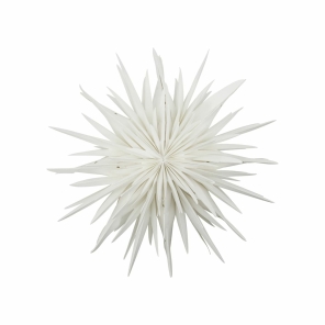 House Doctor Papierstern Stern DUST creme offwhite Papier...