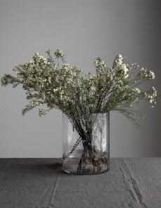 Storefactory Windlicht/Vase RAMSJÖ XL klarglas | Ø 25x30 cm