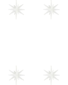 House Doctor Ornamente 4er Set SPIKE KLEIN weiß |...