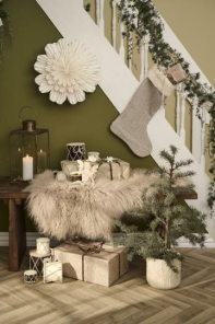 IB Laursen Weihnachtsbaum ZEDER mit Plastiktopf klein |...